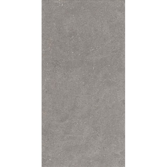 Керамогранит 1224 Керамогранит Graniti Grey Matt Ghr 120x60