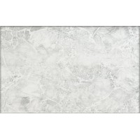 122571 Цезарь Серая 25х40