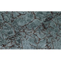 122593 Цезарь Черная 25х40