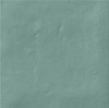 126397 STARDUST TEAL R10 15x15