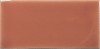 127000 Fayenza Coral 6,25x12,5