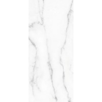 130100 Crystal 20x45