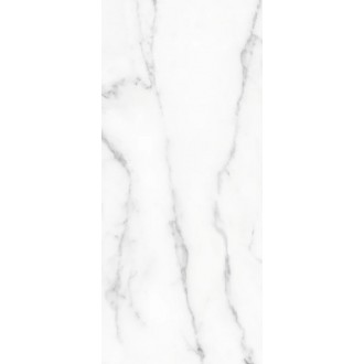 130100 Crystal 20x45