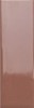 132997 Bits Chestnut Gloss 3,7x11,6