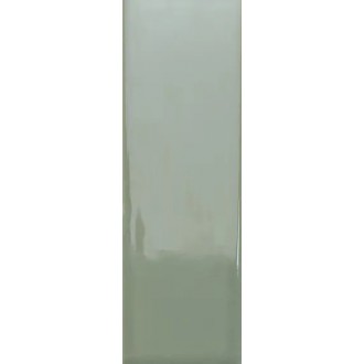132999 Bits Kale Gloss 3,7x11,6