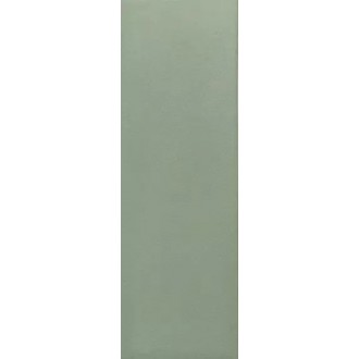 133008 Bits Kale Matt 3,7x11,6
