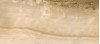 134461 Antares бежевая 20*45