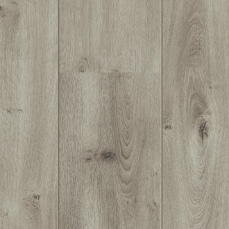 142 Balterio Impressio Дуб каспий