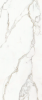 163015 Calacatta Oro Lap Ret 120x280