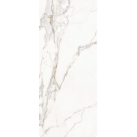 163016 CALACATTA ORO NAT/RETT 120X280