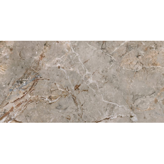 163101 BRECCIA ARGENTUM LAPP.RETT. 60X120