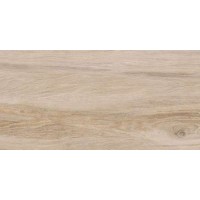 16533 Greenhouse Бежевый 29,7x59,8