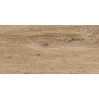 16535 Greenhouse Коричневый 29,7x59,8