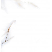 166295 Керамогранит Barcelon Polished 60x60