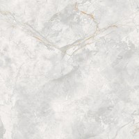 166687 Керамогранит Elison Polished 60x60