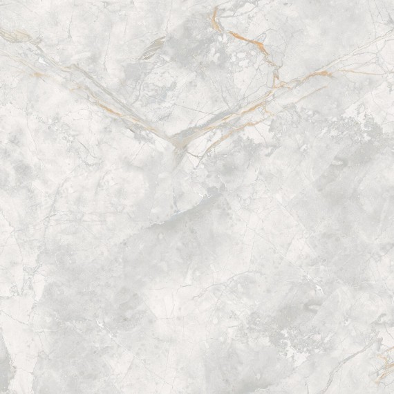 Керамогранит 166687 Керамогранит Elison Polished 60x60