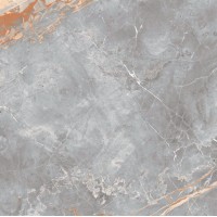 166712 Керамогранит Elison Dark Polished 60x60
