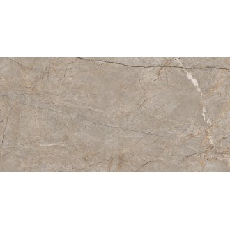 17124 Керамогранит Silver Roots серый матовый ректификат 60x120