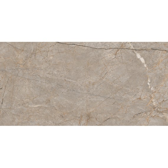 Керамогранит 17124 Керамогранит Silver Roots серый матовый ректификат 60x120