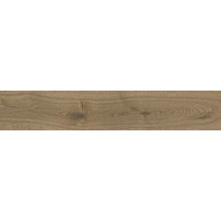 172-1-3 Керамогранит Havana Brown 20x120