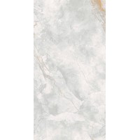 176687 Керамогранит Elison Polished 60x120