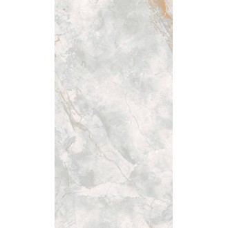 176687 Керамогранит Elison Polished 60x120