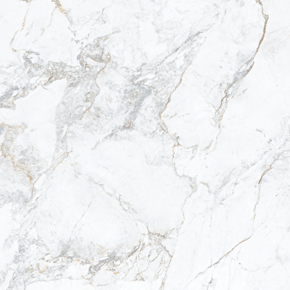 Керамогранит 1865 White Rect. 100x100