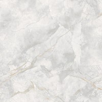 186687 Керамогранит Elison Polished 80x80