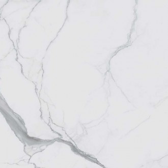 18712 746591 I CLASSICI STATUARIO GLOSSY RET 80х80