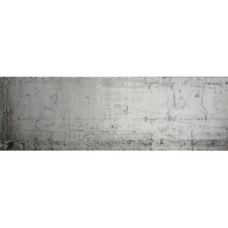 187619 Crystal Rock Silver 29,5х90,1