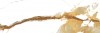 188486 Theia 30x90
