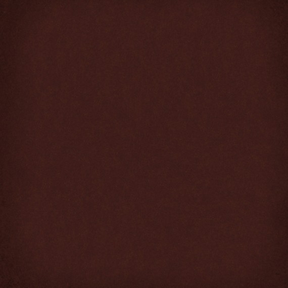 Керамогранит 1900 Chocolate g.136 20x20