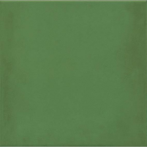 Керамогранит 1900 Verde g.136 20x20