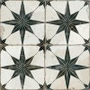 19136 Fs Star-N 45x45