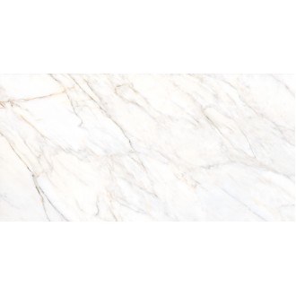 19507 MUSEUM GIOIA SILVER/60X120/EP 60х120