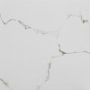 2011 Carrara Polished 60*60