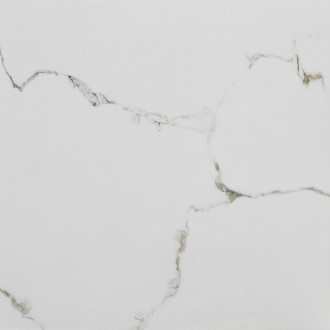 2011 Carrara Polished 60*60