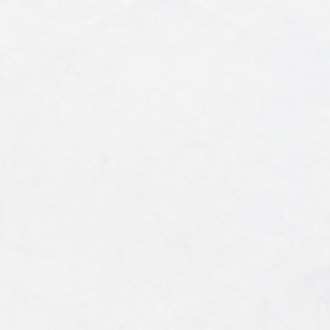 20403 Taco Blanco Mate 4.6*4.6