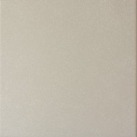 20869 Caprice Grey 20*20