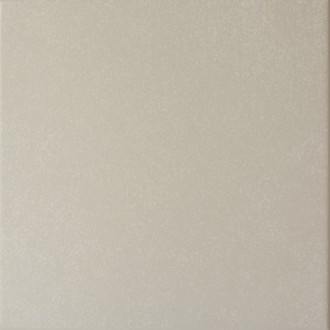 20869 Caprice Grey 20*20