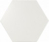 21767 Scale Hexagon White Matt 10,7х12,4