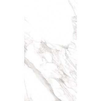 22011 MUSEUM TORANO BIANCO/60X120/EP 60x120