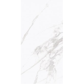 22012 TORANO BIANCO/60X120/NAT/R 60x120