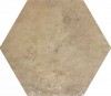220966 Amazonia Cotto 32x36.8