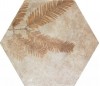 220971 Tropic Cotto 32x36.8