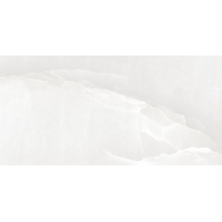 22110 ONIX PEARL/60X120/EP 60x120