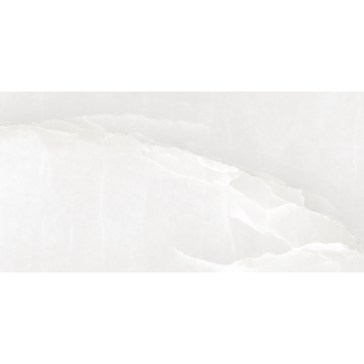 22110 ONIX PEARL/60X120/EP 60x120