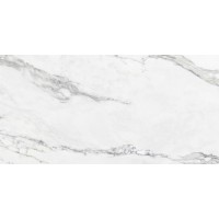221948 Insighia White Rect.SIL 59.5*119.2