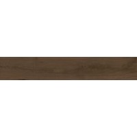 221991 Century Brown Rect Matt 25x150