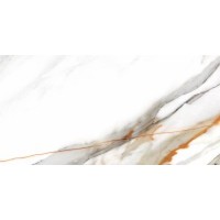 223526 CALACATTA GOLD WHITE REC PUL 60x120